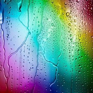 Meet your Posher, Isabelle